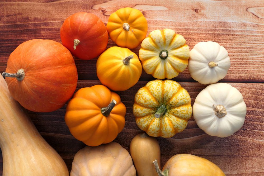 Différentes courges (légume emblématique de l'automne) : butternut, potimarron, etc.