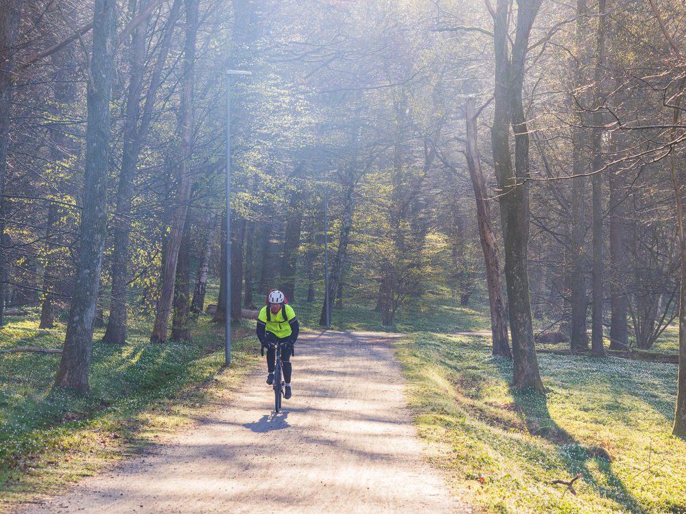 Homme cycliste sur un chemin dans la forêt sur un vélo Gravel